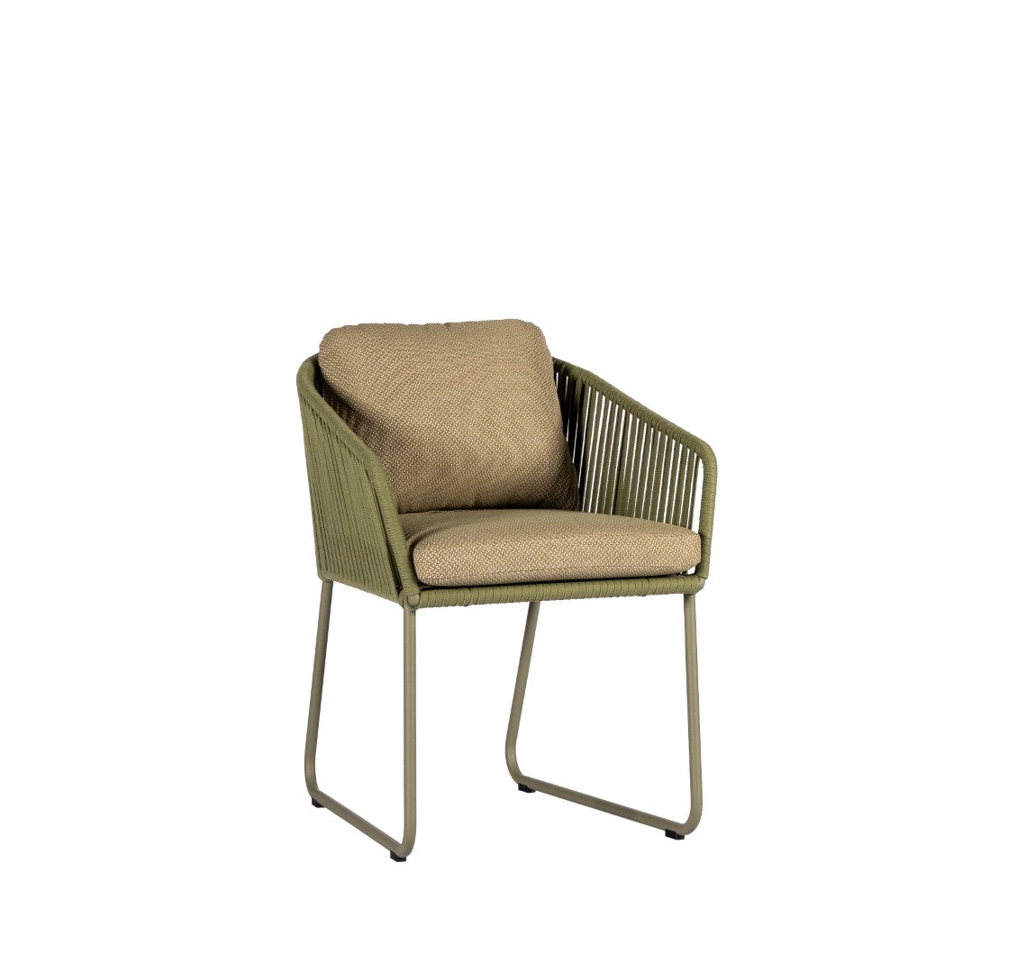 Olive | Olive | Multi Green