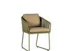 Olive | Olive | Multi Green