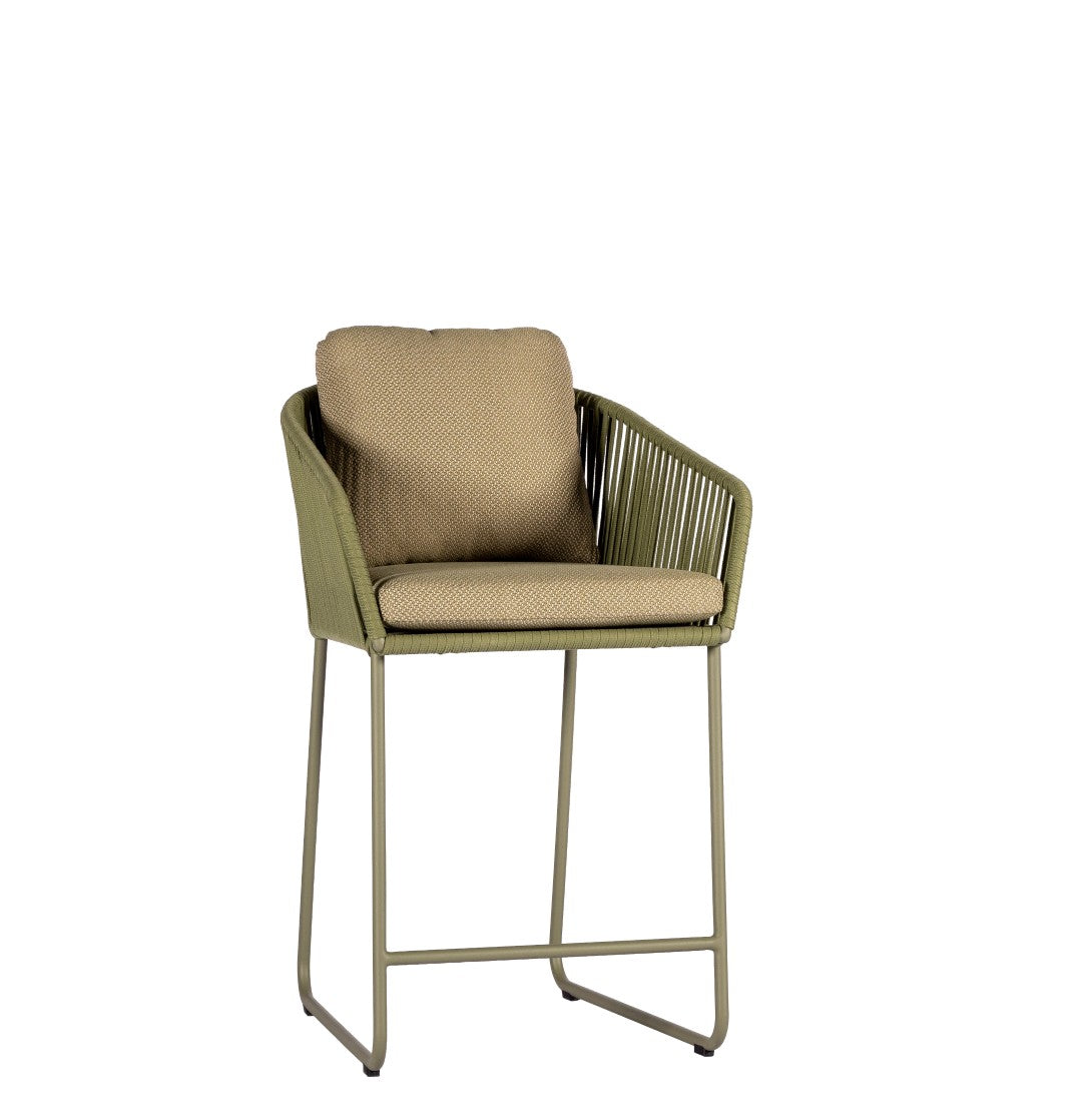 Olive | Olive | Multi Green